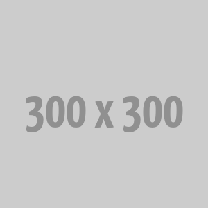 पीएम स्टेपिंग मोटर